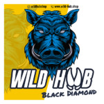 Wild Hub Black Diamond Lockmittel 500 ml